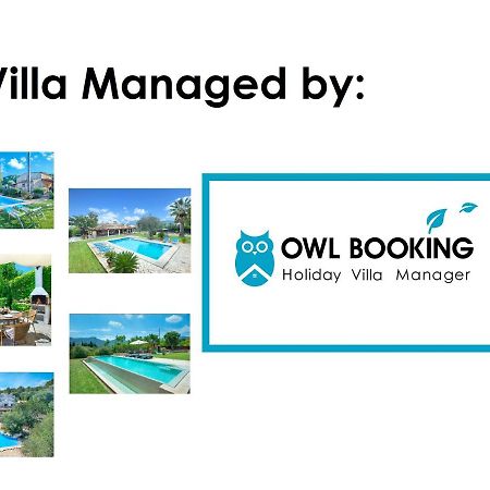 Owl Booking Villa March - 10 Min Walk To The Old Town Pollença Eksteriør bilde